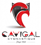 Nice Cavigal Sports section gymnastique LOGO